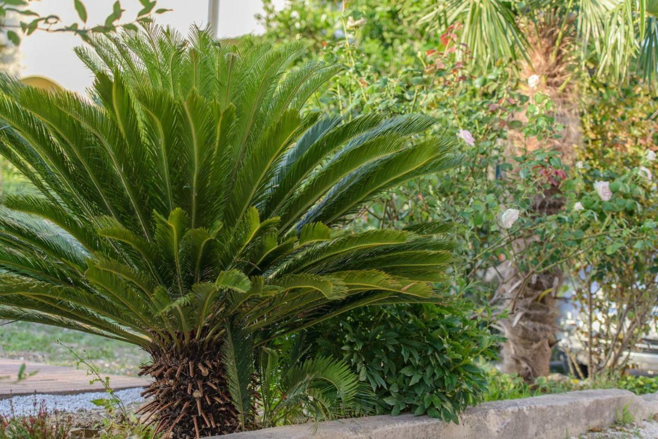 Green garden house Kaštela Buitenkant foto
